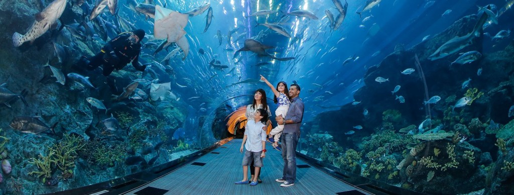 Offer in Downtown Dubai-Dubai Aquarium