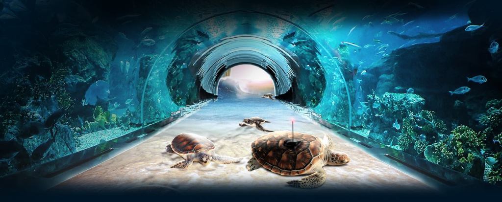 Offer in Downtown Dubai-Dubai Aquarium