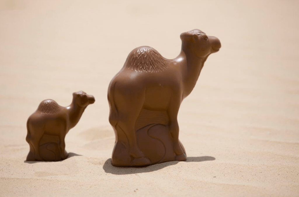 You Can Buy Camel Milk Chocolate In Downtown&nbsp;Dubai