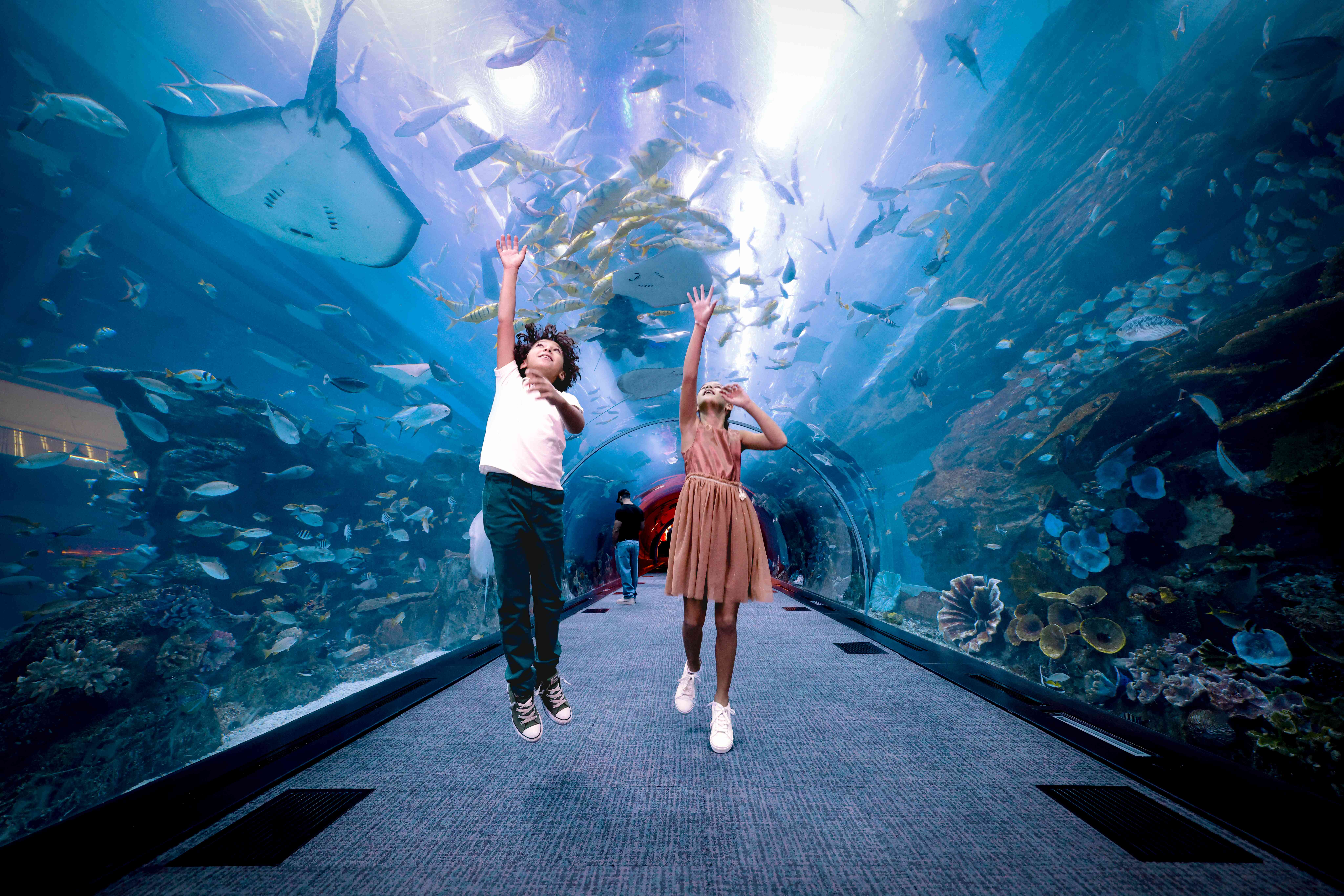 Malol Spring Keep The Children Entertained With Dubai Mall’s Spring Camp – Strictly ...